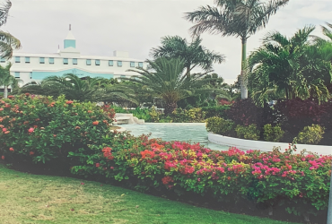 Vue de l'entrée du complexe hôtelier avec plantes bandes de fleurs et palmiers, avant le début de la démolition.