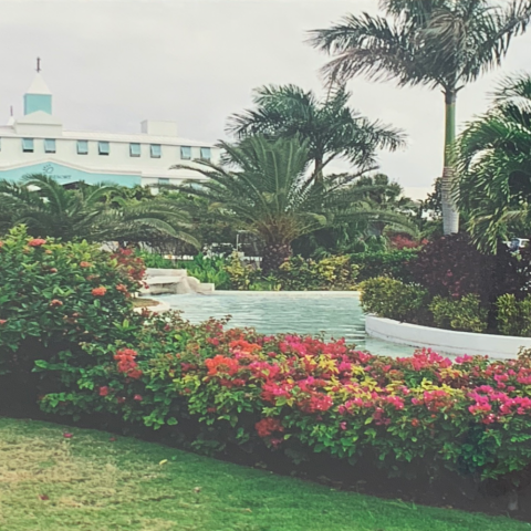 View of the hotel complex entrance showing fowers and palm trees, before demolition