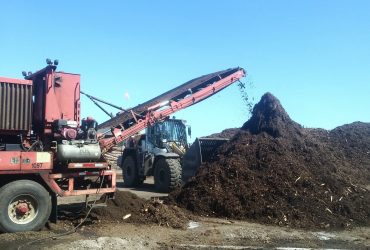 Vue du convoyeur de la broyeuse déchargeant du bois broyé sur la pile et d'un chargeur sur roues, par temps radieux.