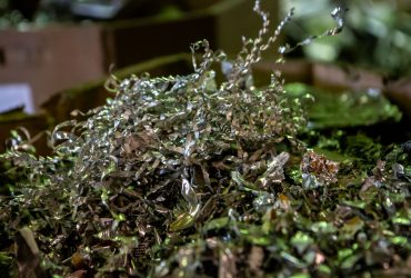 Vue de rebuts d’usinage (« turnings ») dans une boîte en carton dans le bâtiment du centre de recyclage Centrem à Alma.