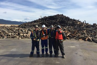 Vue de quatre employés debout côte-à-côte devant une pile de métaux ferreux avec sommet de montagne enneigé en arrière-fond.